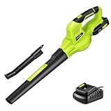 SnapFresh 20V Cordless Electric Leaf Blower - Lightweight with 2.0Ah Battery & Fast Charger, 2 Speed Modes for Lawn, Patio, Yard & Sidewalk Care