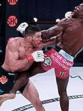 BELLATOR MMA 288: Nemkov vs. Anderson 2