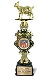 Awards4U 13” Custom Fantasy Football Trophy 2022 - First Place Winner Award for League - Engraved Plate Included - The Goat FFL Champion - Customize Now!