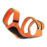 Browning Dog Protection Vest Dog Hunting Vest, Safety Orange, Large