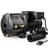 Aquastrong 1HP Shallow/Deep Well Jet Pump, 1554GPH, Cast Iron, Well Depth Up to 25ft/90ft, 115V/230V Dual Voltage, Automatic Pressure Switch