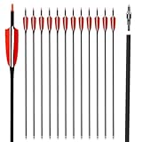LWANO 30' Carbon Arrows-Archery Target Practice Hunting Arrows with 4' Turkey Feather Spine 500 for Recurve & Long Bow(Pack of 12)
