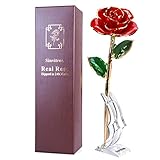 Sinvitron Red Real Rose Flowers, Gold Dipped Rose, Plated Real Rose with Stand & Box, Gift for Mom, Mothers Day, Thanksgiving, Birthday, Anniversary, Wedding, Valentines Day Gifts for her