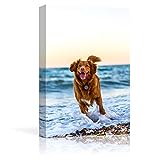 NWT Personalized Pictures to Canvas for Wall, Custom Canvas Prints with Your Photos for Pet/Animal, Framed 10x8 inches