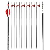 Jocoo 12 Pack 30 Inch Carbon Arrows, Hunting and Target Practice Arrows for Compound Bow and Recurve Bow, Spine 400 with Removable Tips