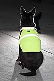 2PET Dog Hunting Vest and Safety Reflective Vest - Used for High Visibility - Protects Pets from Cars & Hunting Accidents in Both Urban and Rural Environments - Large Beaming Yellow