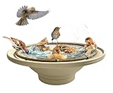 Quackups® Solar Bird Bath Bubbler Fountain: Outdoor Garden and Backyard Water Feature, Winter Bird Feeder, Attracts Hummingbirds and Small Birds