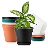 Monoture 8Pack 6in Plant Pots with Drainage Holes and Tray,Flower Pots for Indoor Plants Home Decor,Planters for Indoor Plants-Monstera、Aloe、Cactus,Nursery Plastic Plant Pot for Planting Mixed Color