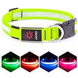 Vizpet LED Dog Collar, Light Up Dog Collar Adjustable USB Rechargeable Super Bright Safety Light Glowing Collars for Dogs(X-Large,Green)