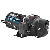 WAYNE SWS100 1 HP Cast Iron Shallow Well Jet Pump for Wells up to 25 ft.