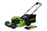 Greenworks 48V 21' Brushless Cordless Self-Propelled Lawn Mower, (2) 5.0Ah USB Batteries (USB Hub) and Dual Port Rapid Charger Included (2 x 24V)