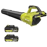 SEYVUM Leaf Blower Cordless, 500CFM 20V Electric Leaf Blower for Lawn Care with 2 X 2.0Ah Battery and Charger, Battery Powered Leaf Blower Lightweight Powerful for Patio, Garden, Yard