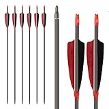 MS Jumpper Archery Carbon Arrows, High Percentage Carbon-Fiber Arrow Spine 400 with 4' Real Feathers 100 Grain Points for Hunting/Targeting Compound/Recurve/Long Bow 6Pack (30inch)