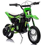 24V 7ah Kids Ride on Motorcycle,13.6MPH Fast Speed Electric Battery-Powered Off-Road Motocross with 250W Strong Motor, Chain-Driven,Leather Seat,Disc Brake,Air-Filled Tires (Green)