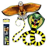 Doinfly Kite for Ages 8-12, Easy to Fly and Assemble Rocket Kite for Beginner, Single Line String Professional Kite for Beach and Outdoor Activity (Eagle & Snake Kite Set)