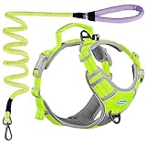ThinkPet No Pull Harness Breathable Sport Harness with Handle - Reflective Padded Dog Safety Vest with Reflective Neon Dog Leash M Harness Leash Pack Green