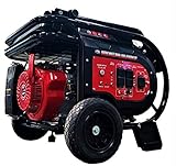 All Power America G10000EGL All Power 10000 Watt Dual Fuel Heavy Duty Portable Gas/Propane Generator, Black