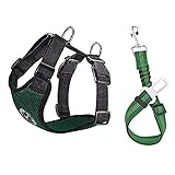 Lukovee Dog Safety Vest Harness Seatbelt, Dog Car Harness Seat Belt Adjustable Pet Harnesses Double Breathable Mesh Fabric Car Vehicle Connector Strap Dog (Large, Green)