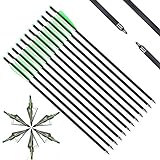 IRQ 20 Inch Crossbow Bolts and Crossbow Broadheads Set, Carbon Crossbow Arrows for Hunting and Outdoor Practice, 12 Green Arrows, 6 Broadheads(18 Pack)