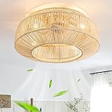 zheshirui 20' Boho Caged Ceiling Fan with Lights Flush Mount, Low Profile Rattan Ceiling Fans with Lights and Remote Control, Enclosed 6 Speeds for Bedroom, Living Room, Kitchen