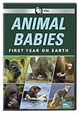 Animal Babies: First Year On Earth