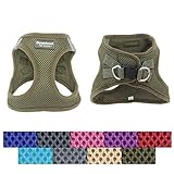 Downtown Pet Supply No Pull, Step in Adjustable Dog Harness with Padded Vest, Easy to Put on Small, Medium and Large Dogs (Hunter Green, S)