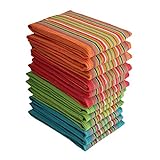 DG Collections Salsa Stripe Kitchen Dish Towels, 100% Cotton, Highly Absorbent, Multi Purpose Waffle Tea Towels for Cooking, Drying & Cleaning, 16x28 Inches, Pack of 12