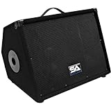 Seismic Audio - SA-10M.3 - Pro Audio 10 Inch 2-Way Floor Monitor Stage Speakers PA/DJ Church - 200 Watts