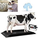 5,000 LB x 1 LB NTEP Alleyway Livestock Scale Animal Scale / Large Livestock Scale with Indicator