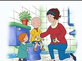 Caillou the Helper