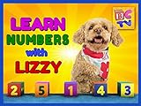 Learn Numbers with Lizzy the Dog - 1 to 10