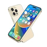 Dummy Fake Prop Phone Compatible with Phone 14 Pro Non-Working Store Display Phones Kids Pretend Play Phone That Look Real (14 Pro Gold Home Screen)