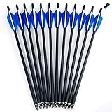 GPP Hunting Archery Carbon Arrow 20' Crossbow Bolts Arrow with 4' vanes and Replaced Arrowhead/Tip 12PC