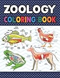 Zoology Coloring Book: Medical Anatomy Coloring Book for kids Boys and Girls. Zoology Coloring Book for kids. Stress Relieving, Relaxation & Fun ... Zoology Coloring Workbook for Kids & Adults.
