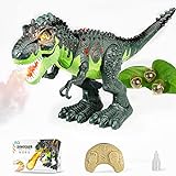 Remote Control Dinosaur Toys for Kids 5-7, WQ Electronic Walking Robot Dinosaur, Roar Sounds, Flashing Light, Laying Eggs, Realistic RC Dinosaur T-Rex Toys Birthday Gift for Boys Girls 3+ Years Old