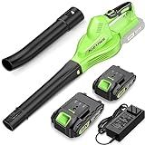 Cordless Leaf Blower - Lightweight Electric Blower with 2 Batteries & Charger - 20V Battery Powered Small Handheld Blower for Lawn Care Green