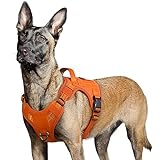 rabbitgoo Dog Harness No Pull, Military Dog Harness for Large Dogs with Handle & Molle, Easy Control Service Dog Vest Harness Training Walking, Adjustable Reflective Tactical Pet Harness, Orange, L