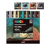Posca Markers Color Tones Set, Acrylic Paint Pens with Reversible Tips for Coloring and Drawing on Any Surface, Non-Toxic Formula, Posca Markers Earth Tones for Rock Painting, Fabric, Glass, & more