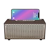 Qiolankdd Retro Bluetooth Speakers, Wooden Bookshelf Speakers with Aux Input and FM Radio, PC Computer Speakers for Desktop Bluetooth Wireless, Home Small Blue Tooth Speaker for iPhone TV (Brown)