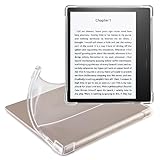 CoBak Clear Case Cover for 7'' All-New Kindle Oasis 10th Generation 2019 Released and 9th Generation 2017 Released -Corner Airbag Protection, Transparent Design for DIY, Minimalist Style (Clear)
