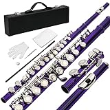 Ktaxon C Closed Hole Flute 16 Keys Flutes Kit for Students, Professionals & Beginner, Orchestra Musical Nickel Flute with Hard Case, Cleaning Rod, Cloth, Gloves (Purple)