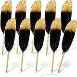Chivao Feather Ballpoint Pen 0.5mm Black Ink Feather Quil Refined Plated Rod Quill Pens Vintage Pen for Guest Signature Office Party Favors (10 Pieces)