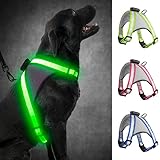 Visinite LED Dog Harness, USB Rechargeable Light Up Dog Harness Vest, 2 Illuminate Modes Glow in The Dark Dog Harness, Adjustable Lighted Dog Harness Light for Night Walking Safety