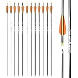 30 inch Carbon Arrow Hunting Arrows with 100 Grain Removable Tips for Archery Compound & Recurve & Traditional Bow Practice Shooting (Pack of 12)