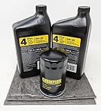 Champion Generator 5W-30 Full Synthetic Oil Change Kit 2 Quarts oil and Filter
