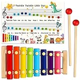 DIFFYBOX Xylophone for Kids and Toddlers Musical Instruments Colorful Wooden Xylophone Great Holiday Birthday Gift for Children