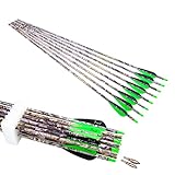 Pinals Archery 28' 30' 300 340 350 400 Spine Carbon Hunting Arrows for Compound Recurve Bow Practice Target 30 Inch Camo Arrow Shaft Pack of 12PCS Green 300