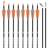26Inch Carbon Arrow Practice Hunting Arrows Targeting with Removable Tips for Archery Compound & Recurve & Traditional Bow (Pack of 12)