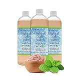 Dale Audrey Natural Saltwater Mouth Rinse | Himalayan Pink Salt Water Oral Rinse | Organic Refreshing Mint Flavor Fluoride Free for Fresh Breath | Mouthwash for Bad Breath Treatment | 3 Pack 16 Oz