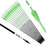 Pointdo 30inch Carbon Arrow Fluorescence Color Targeting and Hunting Practice Arrows for Recurve and Compound Bow with Removable Tips (Fluorescein Green)